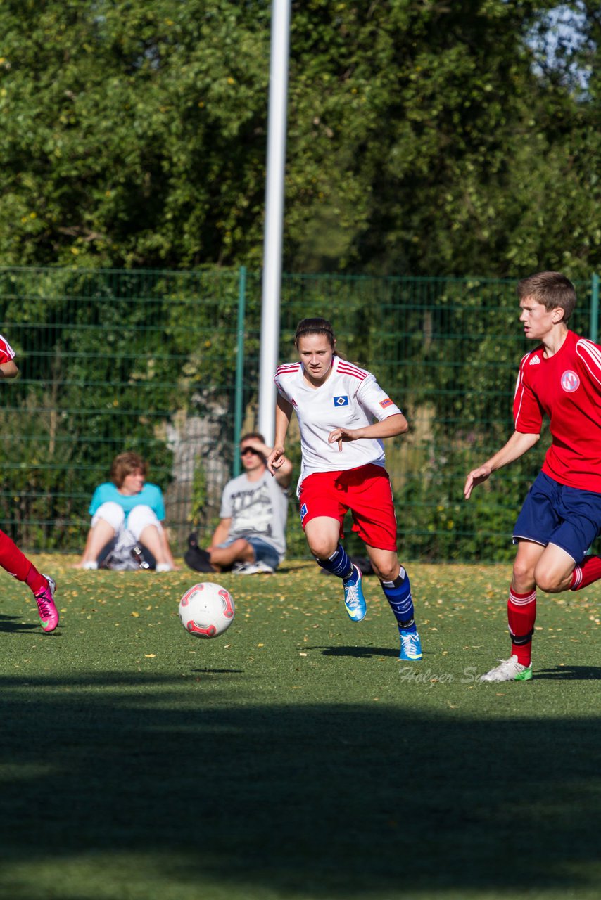 Bild 246 - Frauen HSV - cJun Eintracht Norderstedt : Ergebnis: 1:16